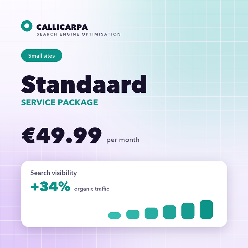 Standaard Service Package — Callicarpa B.V. SEO